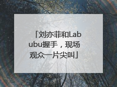 刘亦菲和Labubu握手，现场观众一片尖叫