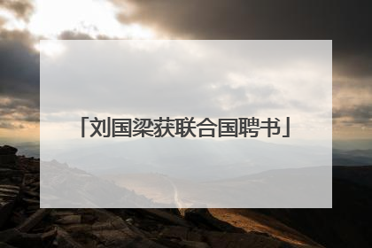 刘国梁获联合国聘书