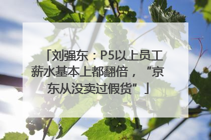 刘强东：P5以上员工薪水基本上都翻倍，“京东从没卖过假货”