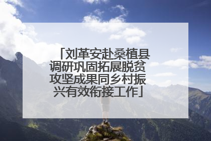 刘革安赴桑植县调研巩固拓展脱贫攻坚成果同乡村振兴有效衔接工作