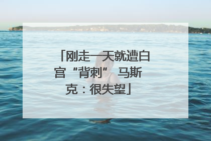 刚走一天就遭白宫“背刺” 马斯克：很失望