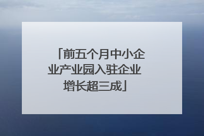 前五个月中小企业产业园入驻企业增长超三成