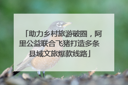 助力乡村旅游破圈，阿里公益联合飞猪打造多条县域文旅爆款线路