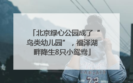 北京绿心公园成了“鸟类幼儿园”，福泽湖畔降生8只小鸳鸯