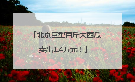 北京巨型百斤大西瓜卖出1.4万元！