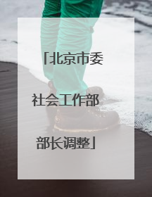北京市委社会工作部部长调整