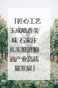 匠心工艺玉成喷香美味 石家庄扎实推进粮油产业高质量发展