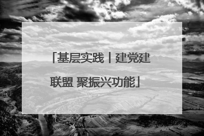 基层实践丨建党建联盟 聚振兴功能