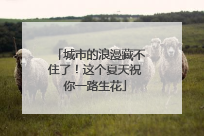 城市的浪漫藏不住了！这个夏天祝你一路生花