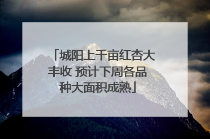 城阳上千亩红杏大丰收 预计下周各品种大面积成熟