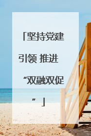 坚持党建引领 推进“双融双促”