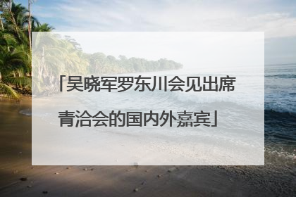 吴晓军罗东川会见出席青洽会的国内外嘉宾