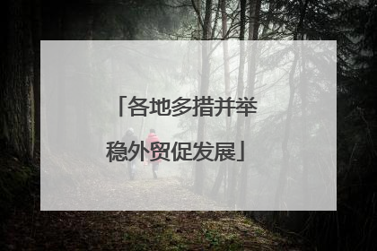 各地多措并举稳外贸促发展