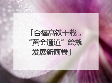 合福高铁十载，“黄金通道”绘就发展新画卷