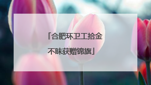 合肥环卫工拾金不昧获赠锦旗