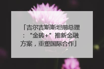 吉尔吉斯斯坦前总理：“金砖+”推新金融方案，重塑国际合作