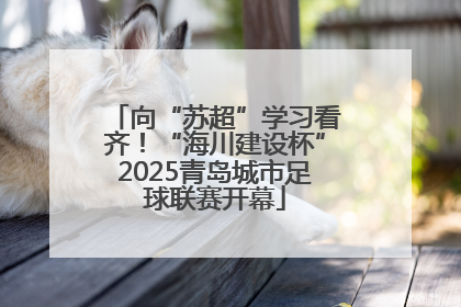 向“苏超”学习看齐！“海川建设杯”2025青岛城市足球联赛开幕