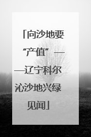 向沙地要“产值”——辽宁科尔沁沙地兴绿见闻