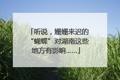 听说，姗姗来迟的“蝴蝶”对湖南这些地方有影响……