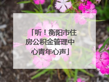 听！衡阳市住房公积金管理中心青年心声