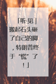 听·见｜搬起石头砸了自己的脚，特朗普终于“慌”了！