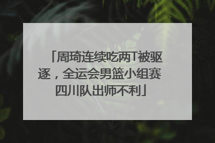 周琦连续吃两T被驱逐，全运会男篮小组赛四川队出师不利