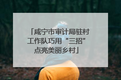 咸宁市审计局驻村工作队巧用“三招”点亮美丽乡村
