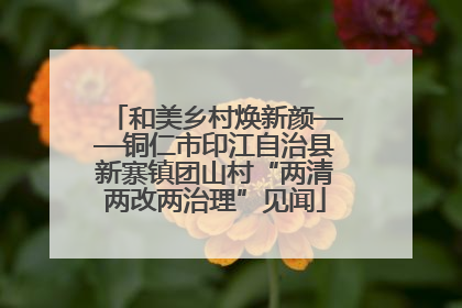 和美乡村焕新颜——铜仁市印江自治县新寨镇团山村“两清两改两治理”见闻