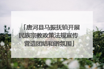 唐河县马振抚镇开展民族宗教政策法规宣传 营造团结和谐氛围