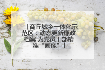 商丘城乡一体化示范区：动态更新廉政档案 为党员干部精准“画像”