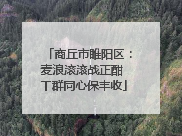 商丘市睢阳区：麦浪滚滚战正酣 干群同心保丰收