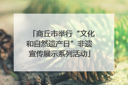 商丘市举行“文化和自然遗产日”非遗宣传展示系列活动