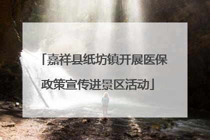 嘉祥县纸坊镇开展医保政策宣传进景区活动
