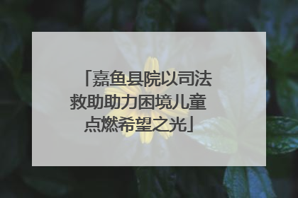 嘉鱼县院以司法救助助力困境儿童点燃希望之光