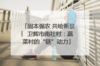 固本强农 共绘新景 ︳卫辉市南社村：蔬菜村的“链”动力
