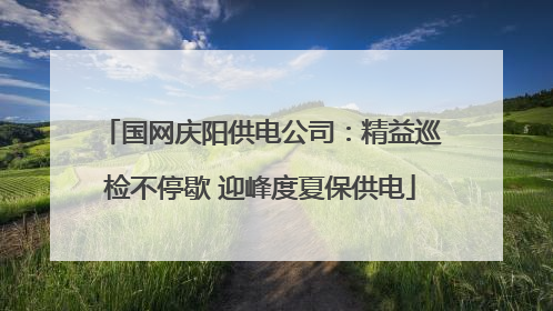 国网庆阳供电公司：精益巡检不停歇 迎峰度夏保供电