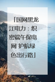 国网黑龙江电力:织密端午保电网 护航绿色出行路