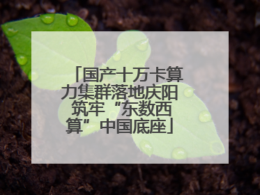 国产十万卡算力集群落地庆阳 筑牢“东数西算”中国底座