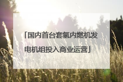 国内首台套氢内燃机发电机组投入商业运营
