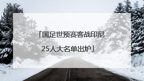 国足世预赛客战印尼25人大名单出炉