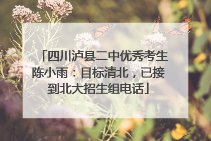 四川泸县二中优秀考生陈小雨：目标清北，已接到北大招生组电话