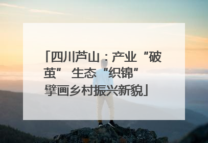 四川芦山：产业“破茧” 生态“织锦” 擘画乡村振兴新貌