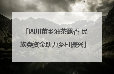 四川苗乡油茶飘香 民族类资金助力乡村振兴