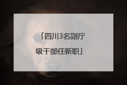 四川3名副厅级干部任新职