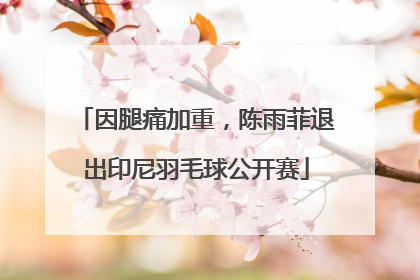 因腿痛加重，陈雨菲退出印尼羽毛球公开赛
