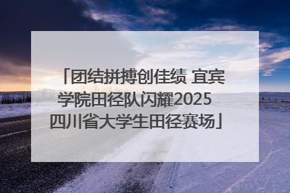 团结拼搏创佳绩 宜宾学院田径队闪耀2025四川省大学生田径赛场