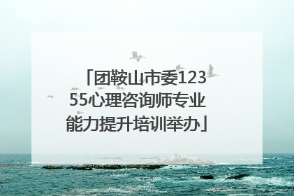 团鞍山市委12355心理咨询师专业能力提升培训举办