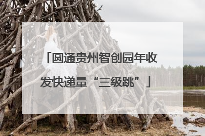 圆通贵州智创园年收发快递量“三级跳”