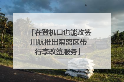 在登机口也能改签 川航推出隔离区带行李改签服务
