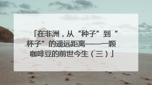 在非洲，从“种子”到“杯子”的遥远距离——一颗咖啡豆的前世今生（三）